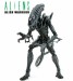 Aliens_Alien Warrior_01.jpg